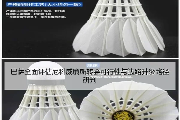 巴萨全面评估尼科威廉斯转会可行性与边路升级路径研判